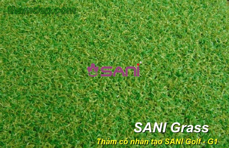 Cỏ nhân tạo SANI Golf - G1 co nhan tao sani sani go1