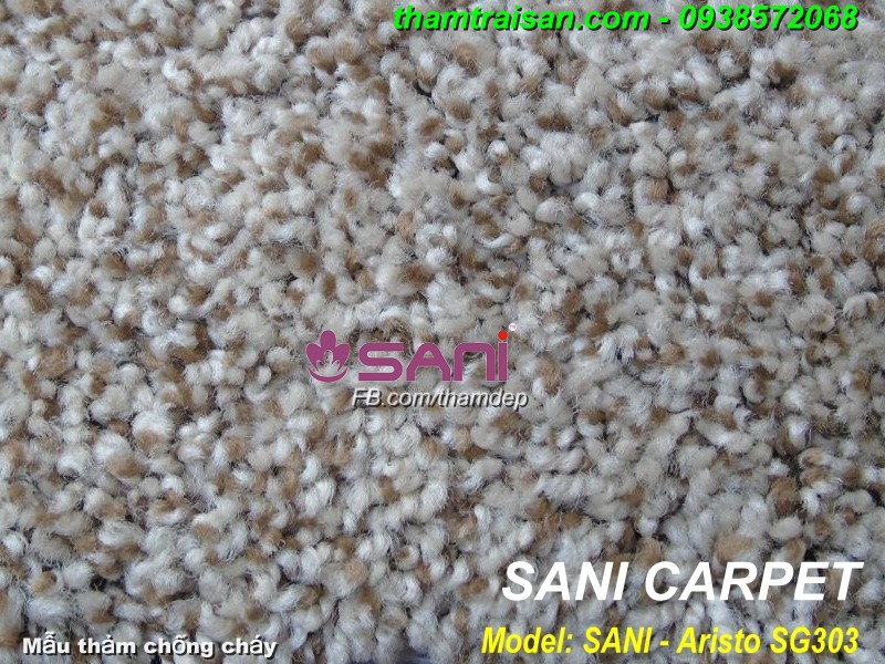 Mẫu thảm chống cháy ARISTO - SG303 tham trang tri shagy aristo