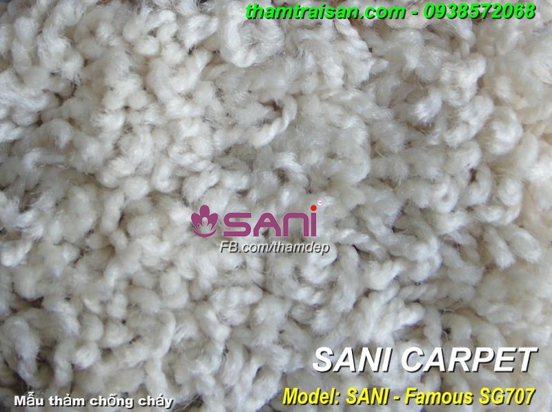 Mẫu thảm chống cháy FAMOUS - SG707 tham trang tri shagy famous