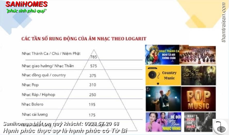 tan so rung dong tam 3
