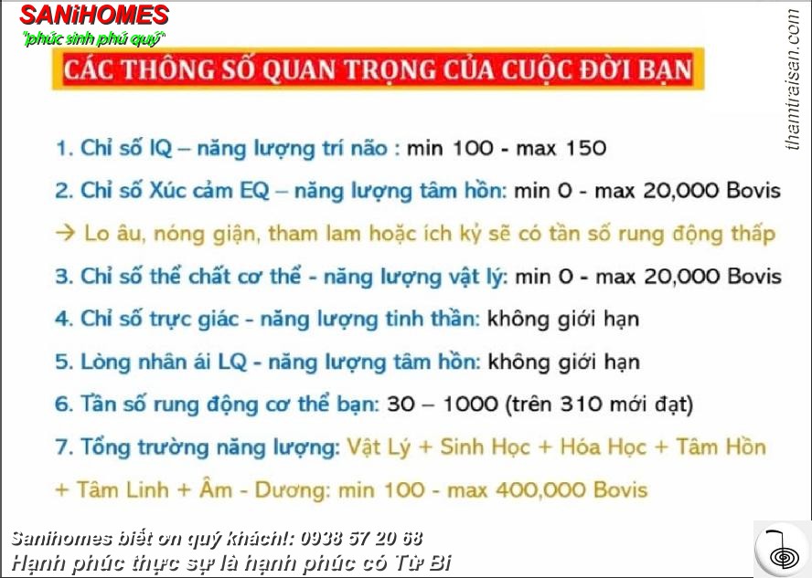 tan so rung dong tam 9