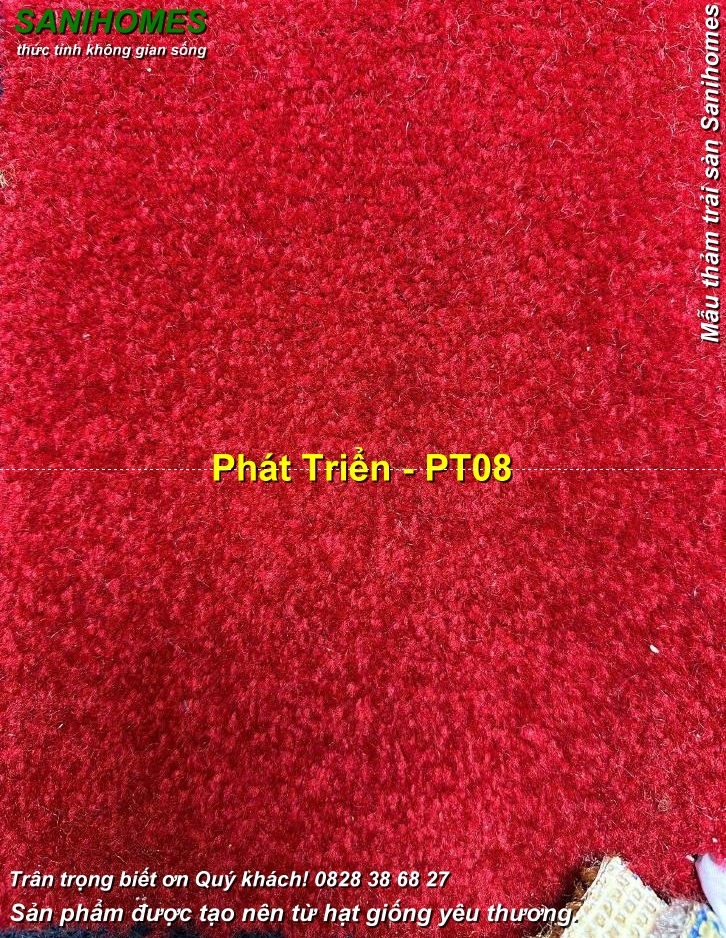Thảm cao cấp trải sàn Sani Phát Triển