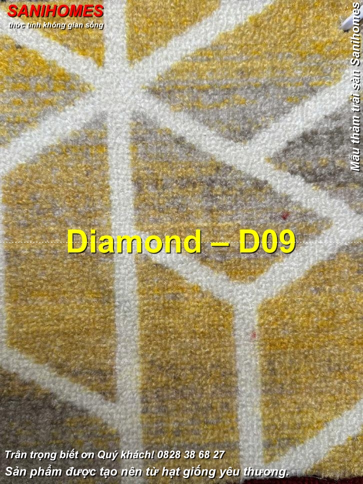 d09 tham trai san diamond