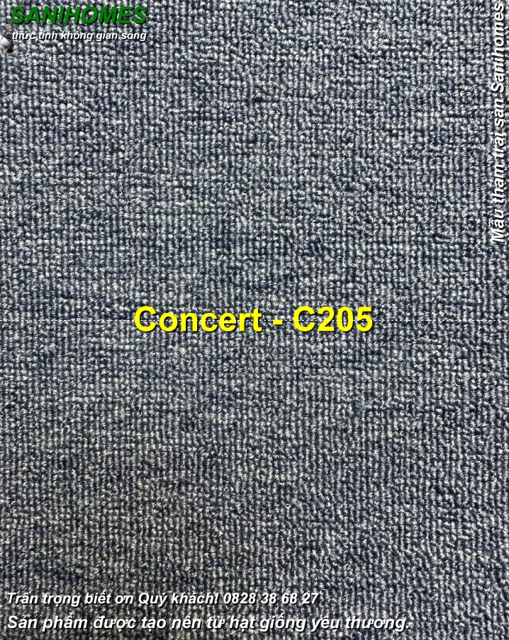 tham trai san hoa nhac concert c205