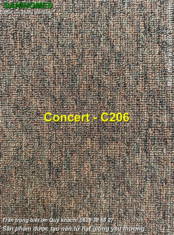 tham trai san hoa nhac concert c206