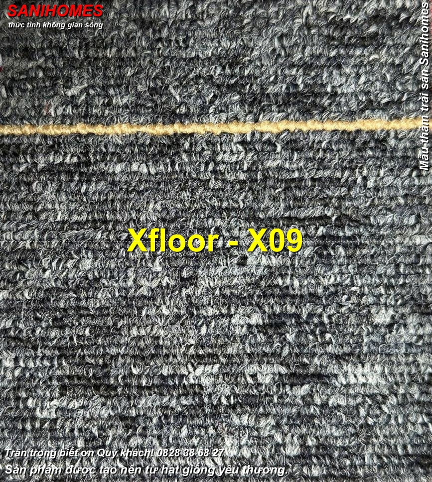 tham trai san x floor x09